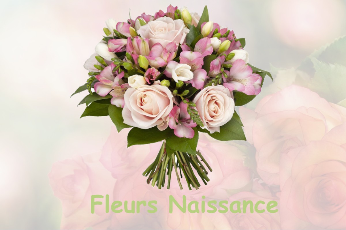 fleurs naissance CUSSY-LES-FORGES